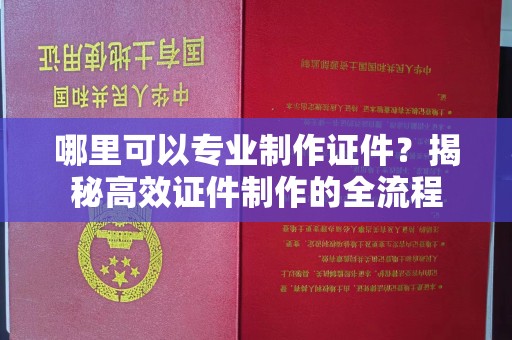 弋江哪里可以专业制作证件？揭秘高效证件制作的全流程
